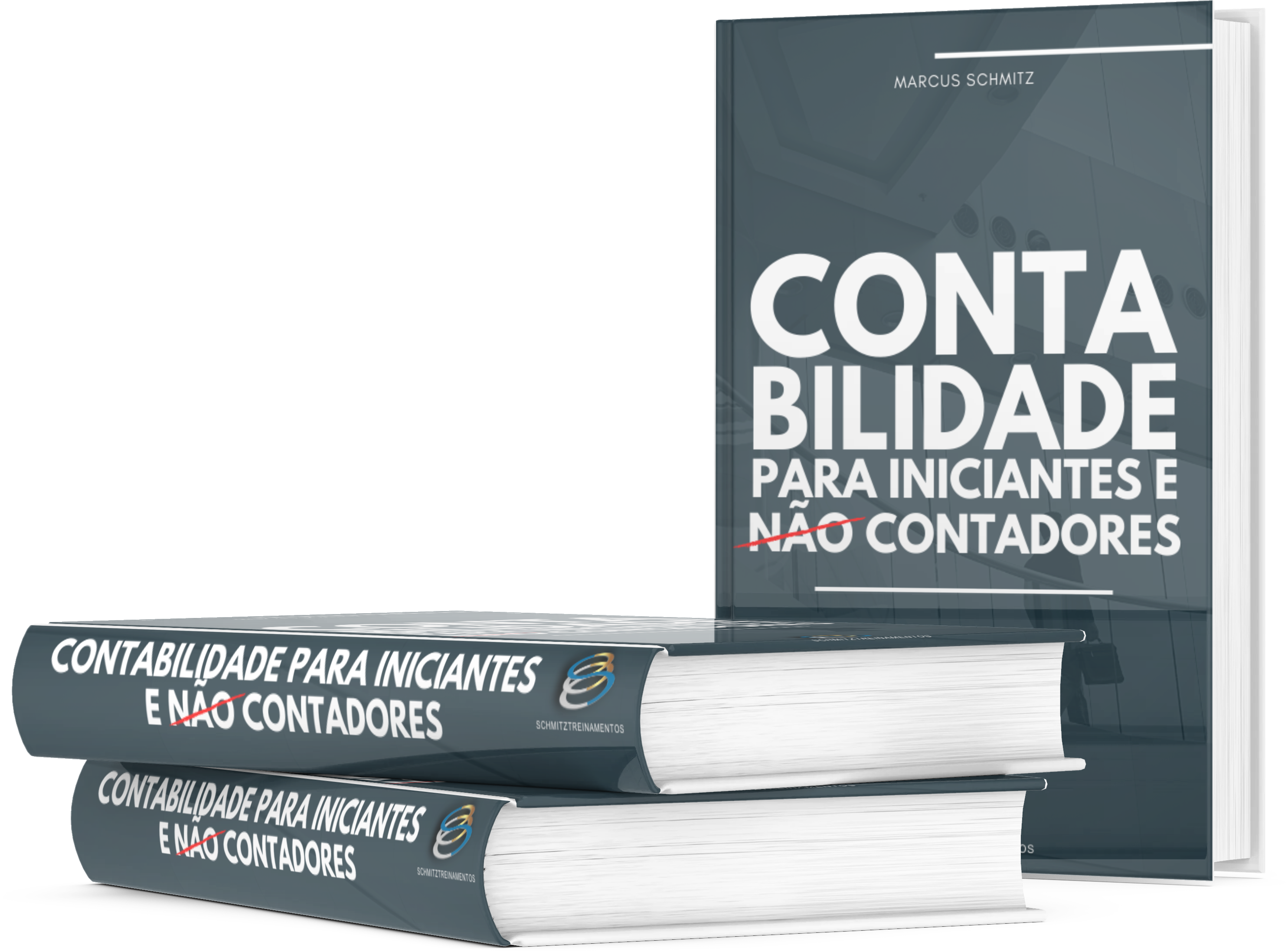 CONTABILIDADE PARA INICIANTES E NÃO-CONTADORES